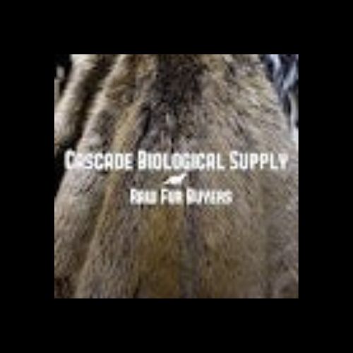Buy Red Fox Fur Pelt Products Online From Cascade Biological Supply.